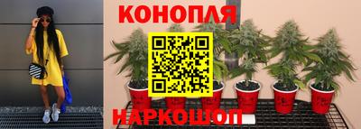 мяу мяу мука Комсомольск-на-Амуре
