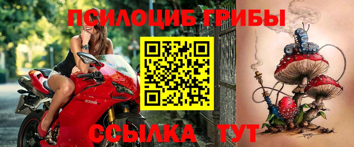 Псилоцибиновые грибы Magic Shrooms Кострома